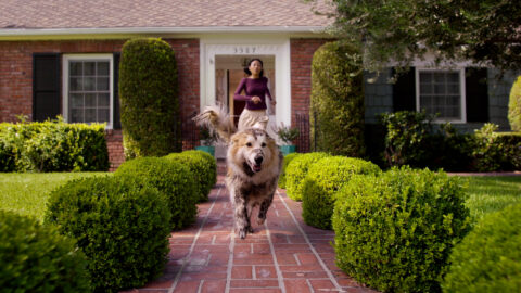 "Venmo - What's Your Venmo" directed by Yoni Lappin