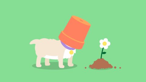 "Greenies - Launch" directed by James Curran