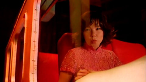 "Bjork - Bachelorette" directed by Michel Gondry