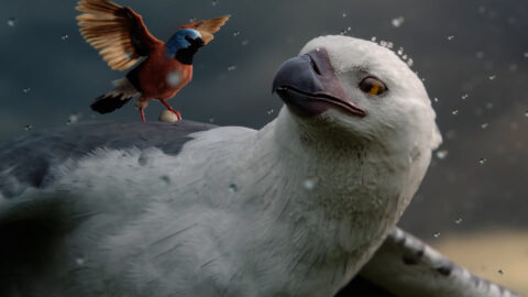 "Allianz - The Flight of the Finch" directed by Michael Gracey