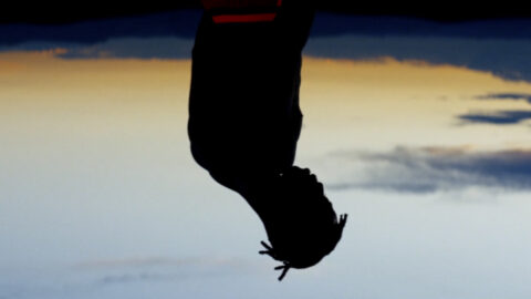 "Sans Amour" directed by Simon Rieth