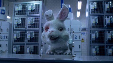 "Save Ralph" directed by Tobias-Fouracre