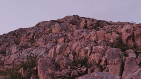 Lankum "The Wild Rover" directed by Ellius Grace