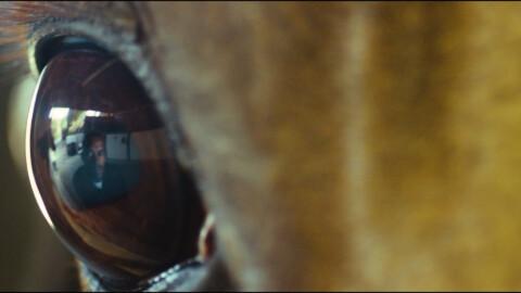 Quiet Child "Feef Baseball Bat" directed by Erik He