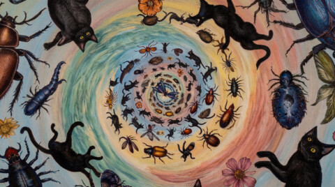 Still of "The Butterfly Effect" directed by Anne Horel