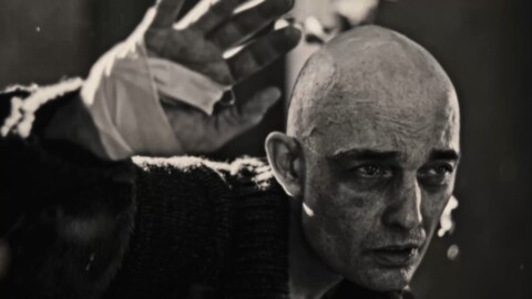 Asinine "Si le Soleil Existe" directed by Jules Harbulot